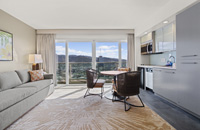 单卧室山景套房